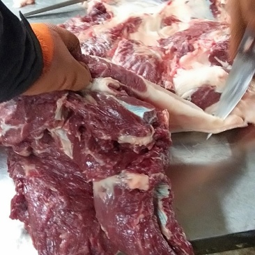 驴肉鲜驴肉活驴现杀现宰鲜驴肉保持驴肉新鲜批发