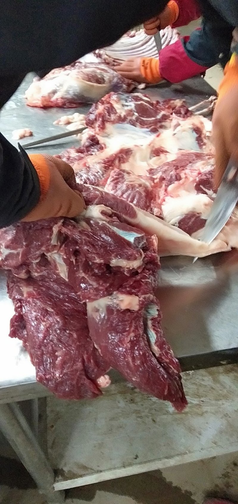 驴肉鲜驴肉活驴现杀现宰鲜驴肉保持驴肉新鲜批发