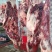 驴肉鲜驴肉活驴现杀现宰鲜驴肉保持驴肉新鲜批发