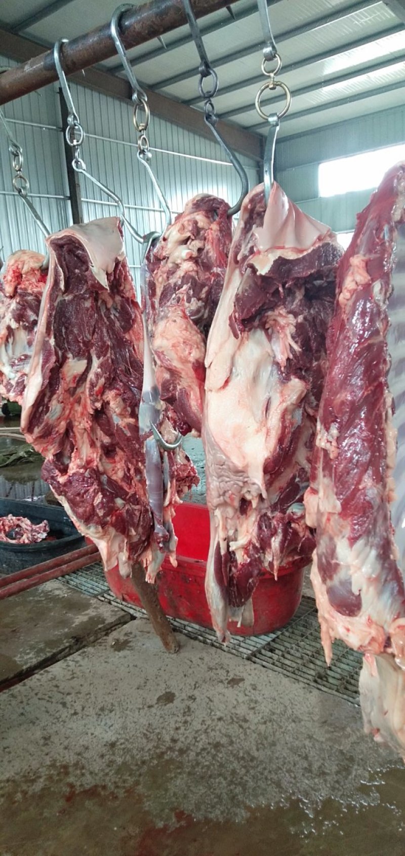 驴肉鲜驴肉活驴现杀现宰鲜驴肉保持驴肉新鲜批发