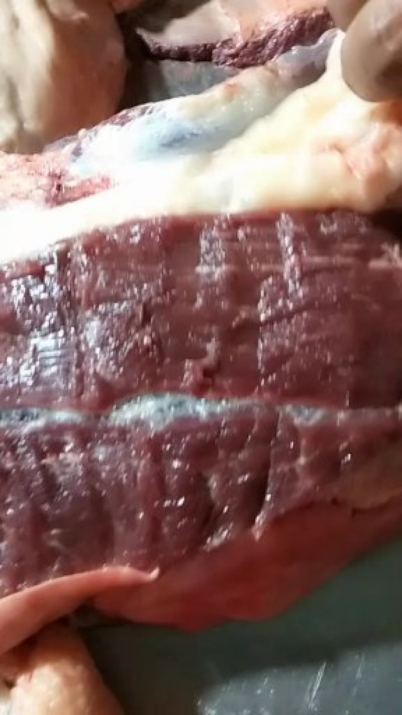 驴肉鲜驴肉活驴现杀现宰鲜驴肉保持驴肉新鲜批发