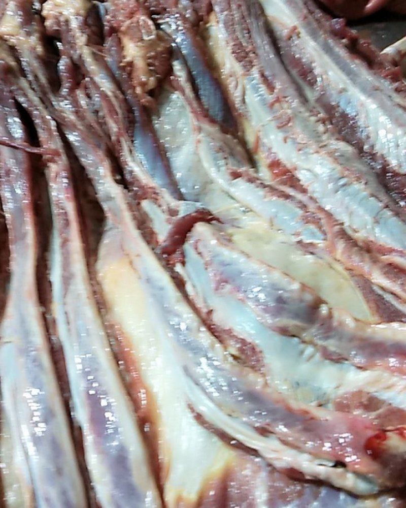 驴肉鲜驴肉活驴现杀现宰鲜驴肉保持驴肉新鲜批发