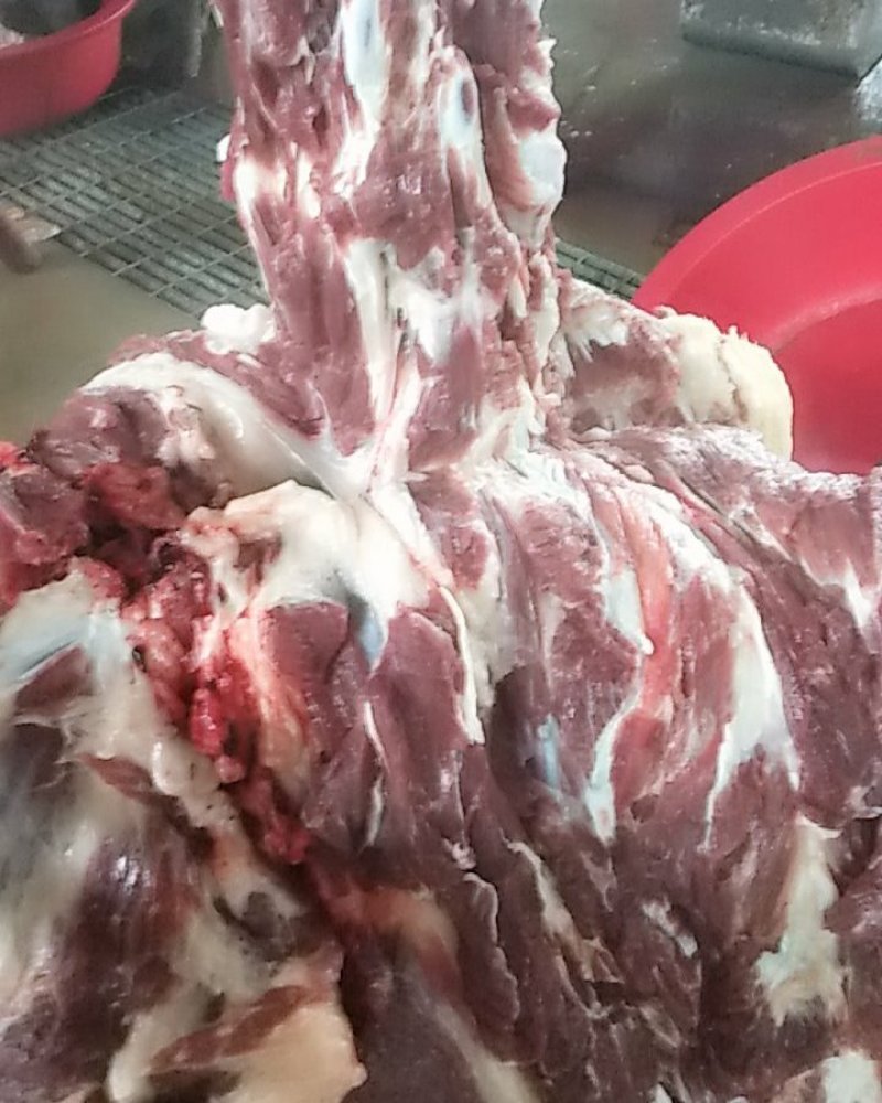 驴肉鲜驴肉活驴现杀现宰鲜驴肉保持驴肉新鲜批发