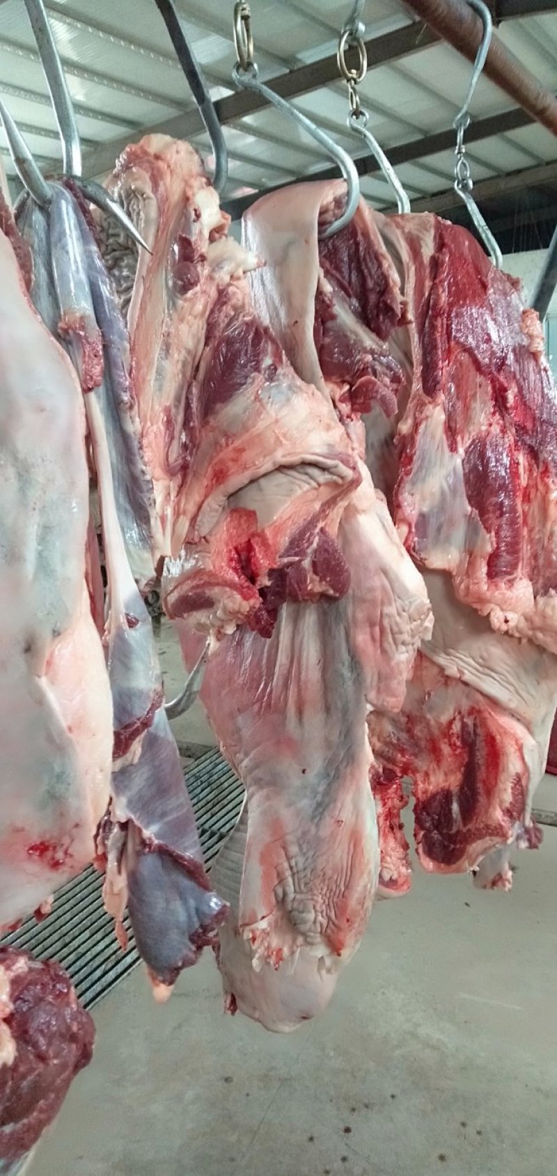 驴肉鲜驴肉活驴现杀现宰鲜驴肉保持驴肉新鲜批发