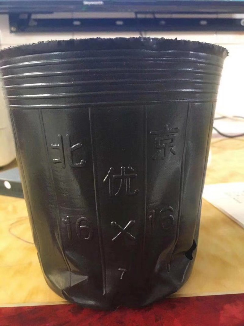 营养钵各种型号大杯单厂价直销质量保证！包邮到家！