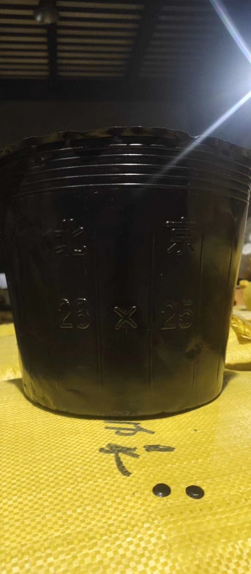 营养钵各种型号大杯单厂价直销质量保证！包邮到家！
