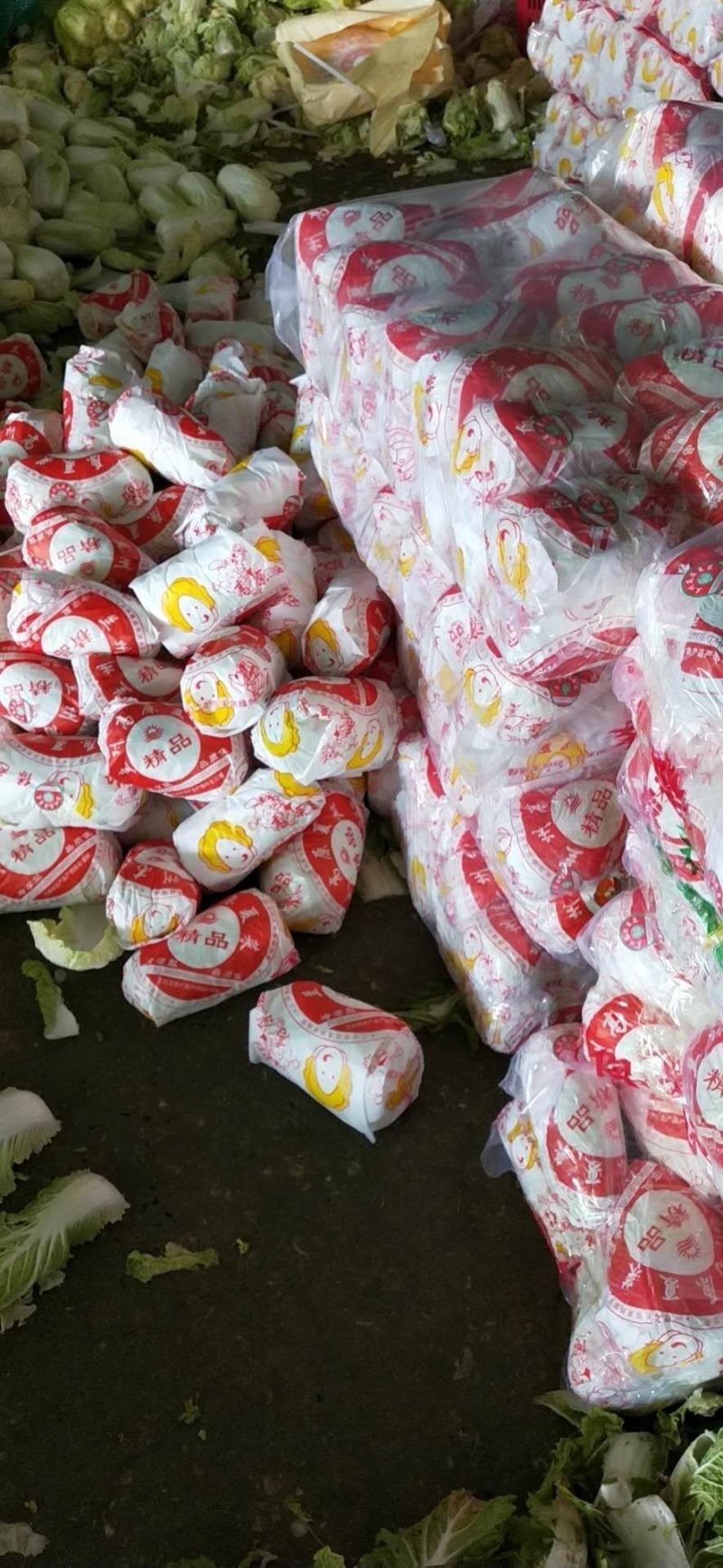 精品娃娃菜大量上市欢迎新老客户订购