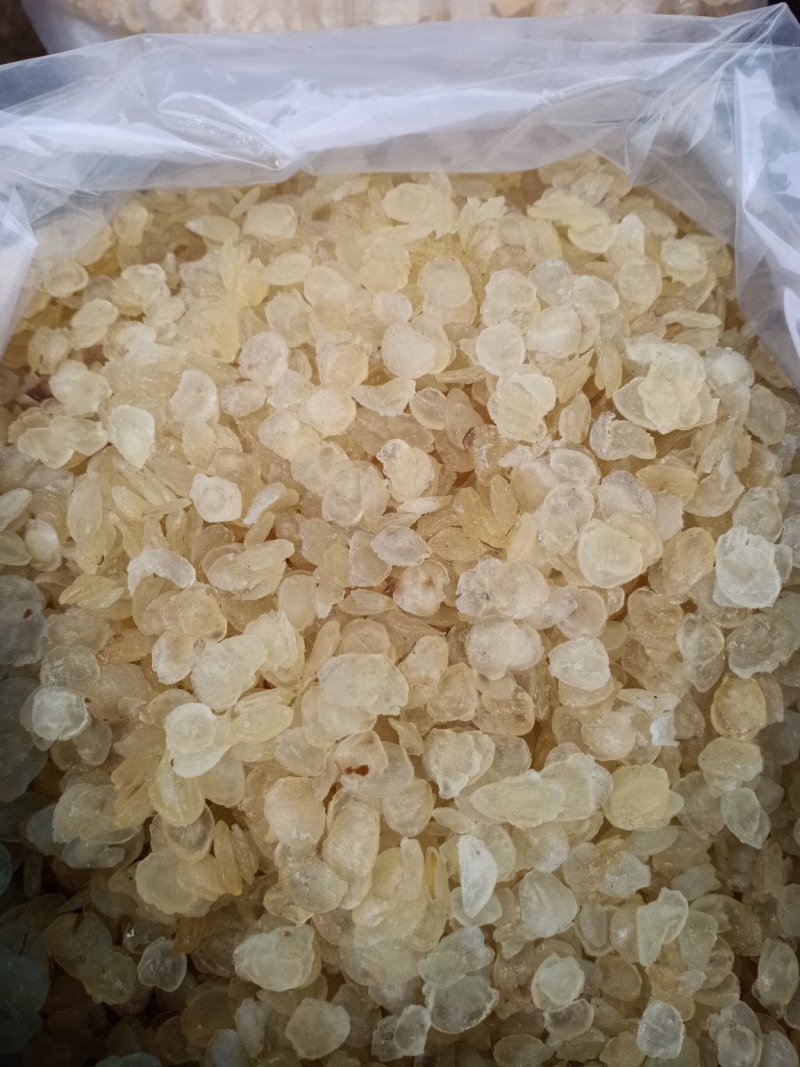皂角米、无硫无添加！雪莲子！大货批发！一手货源
