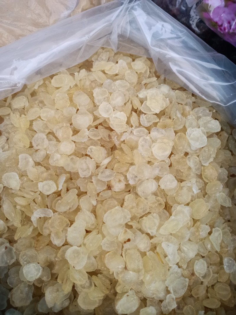 皂角米、无硫无添加！雪莲子！大货批发！一手货源