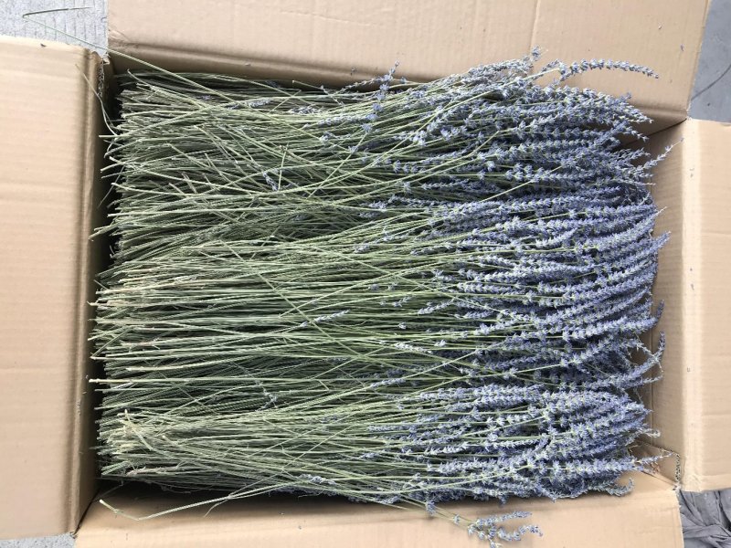 薰衣草干花花束永生薰衣草花束