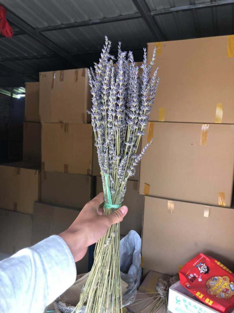 薰衣草干花花束永生薰衣草花束