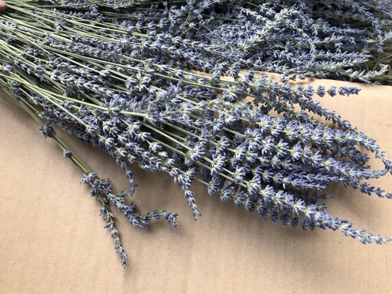 薰衣草干花花束永生薰衣草花束