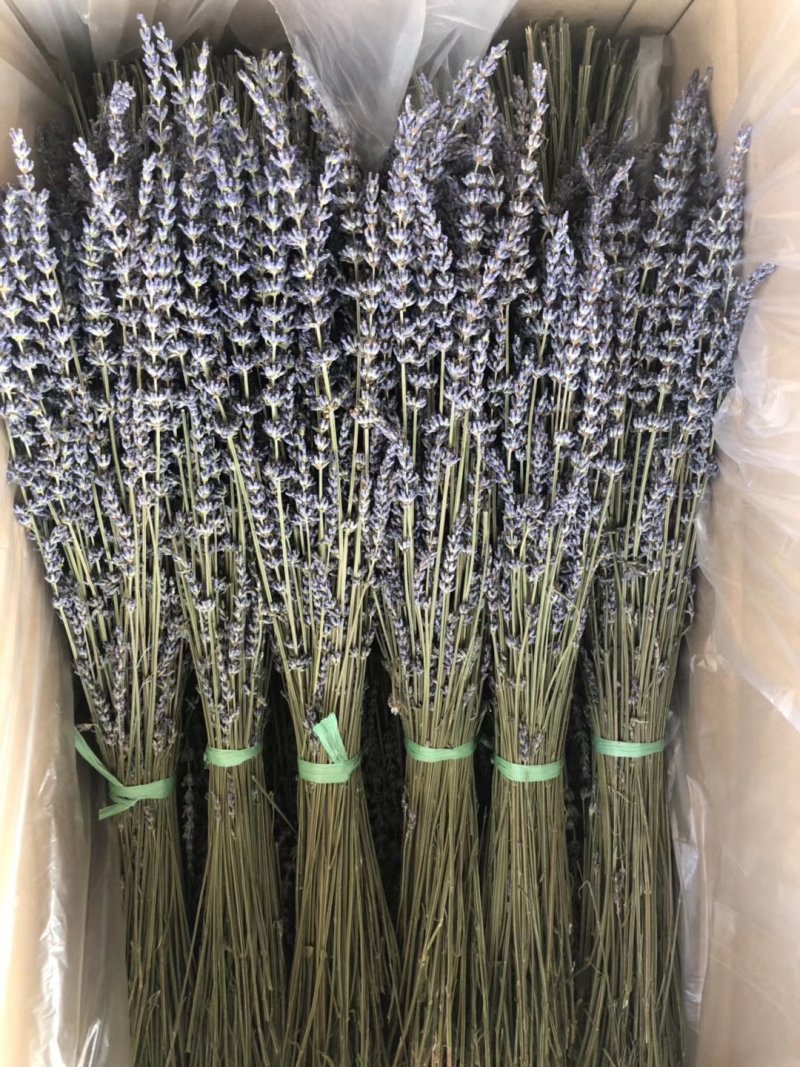 薰衣草干花花束永生薰衣草花束