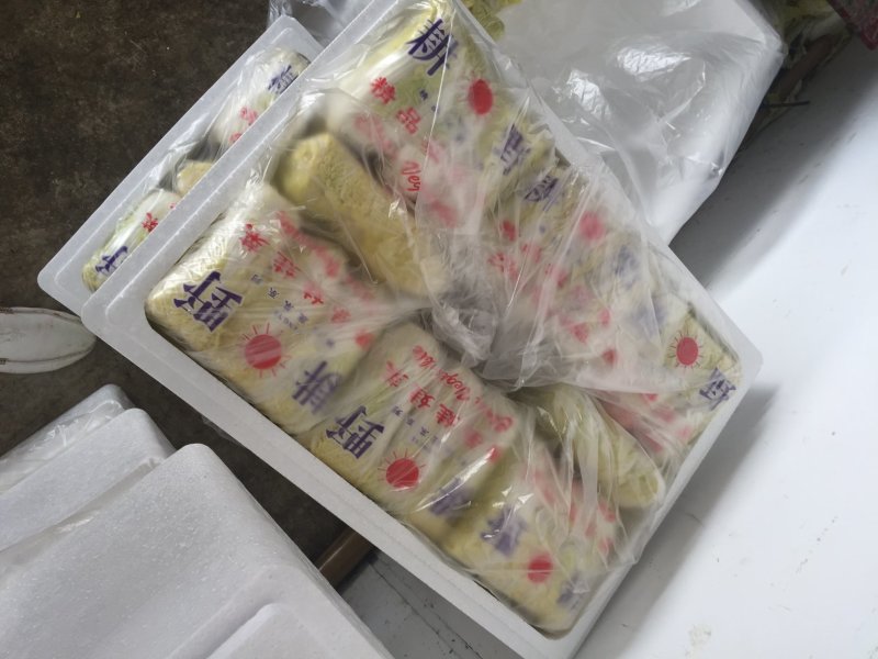 河北张家口坝上尚义县黄心娃娃菜量大货好产地直供