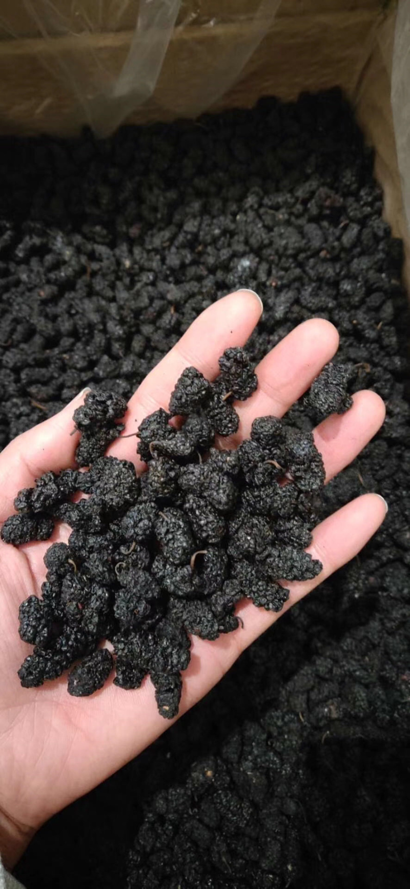 桑葚干大颗粒无沙干净量大优惠