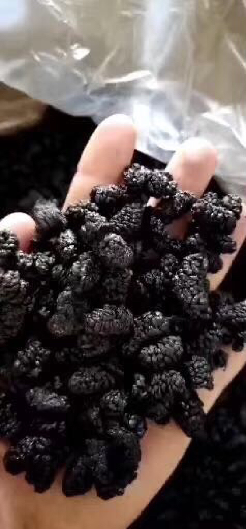 桑葚干大颗粒无沙干净量大优惠