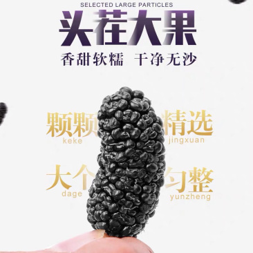 桑葚干大颗粒无沙干净量大优惠