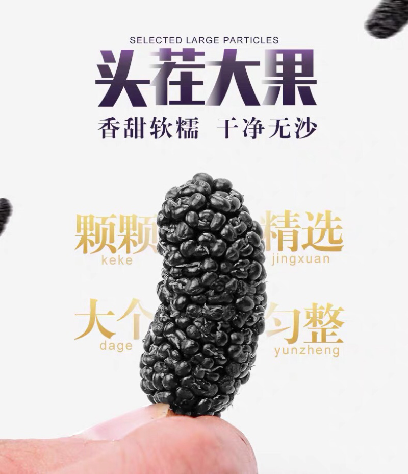 桑葚干大颗粒无沙干净量大优惠