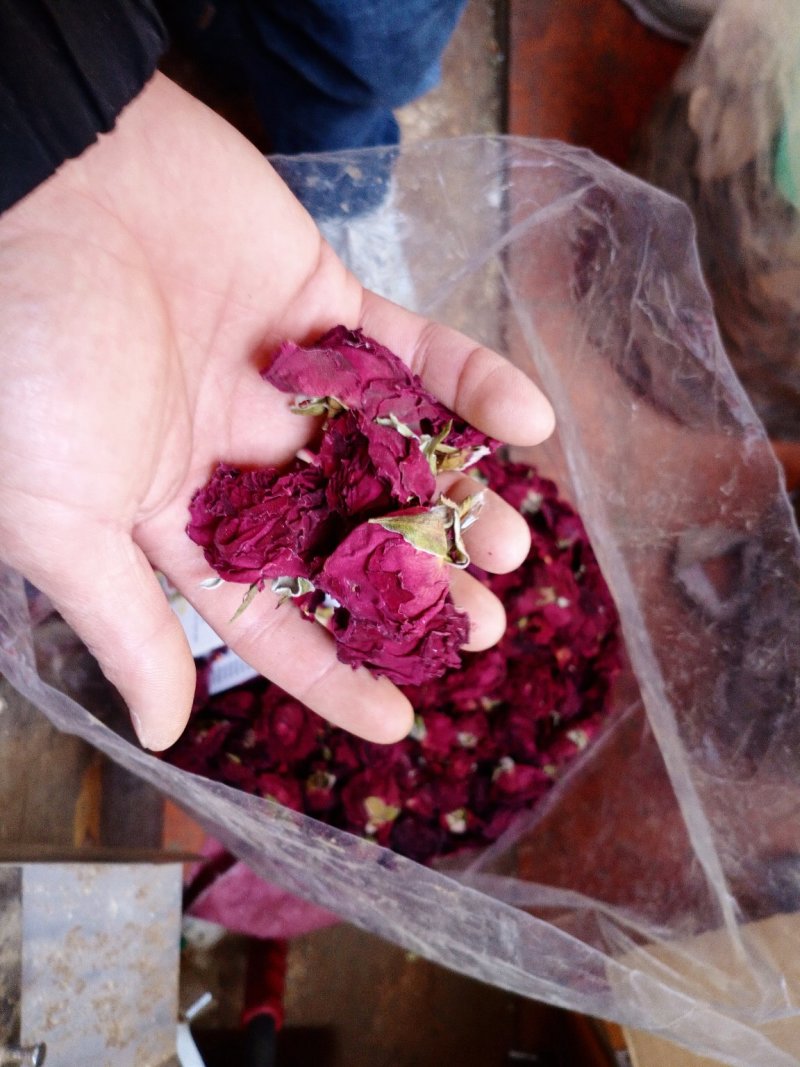 云南文山玫瑰花茶-金边玫瑰量大价格优惠