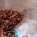 云南红菇野生红菇一手货源量大从优
