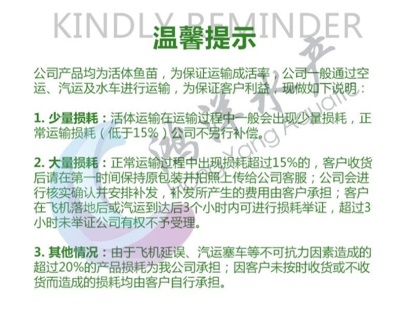 泥鳅苗台湾泥鳅水花不钻洞生长快免费送货技术支持包回收