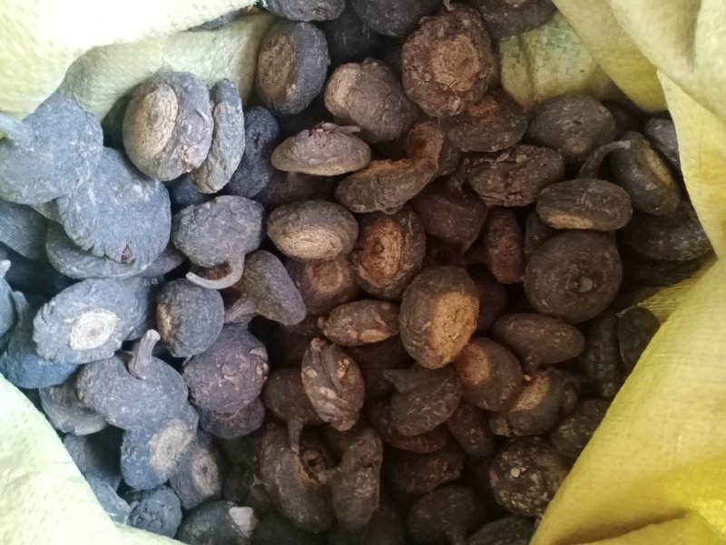 云南文山玛卡产地现货中药材量大从优