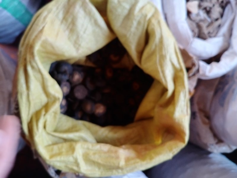 云南文山玛卡产地现货中药材量大从优