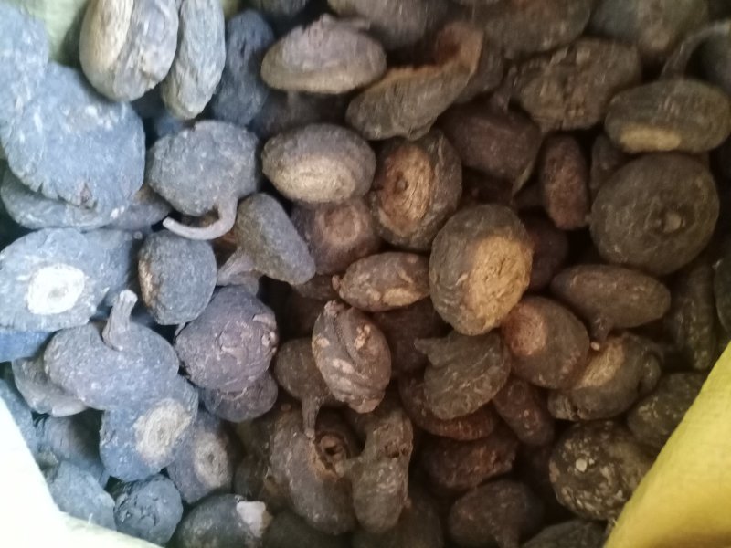 云南文山玛卡产地现货中药材量大从优