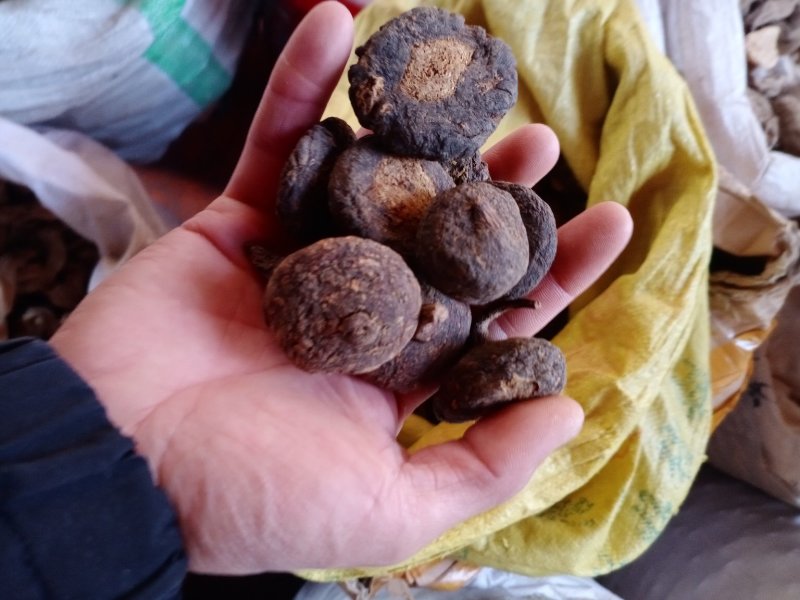 云南文山玛卡产地现货中药材量大从优