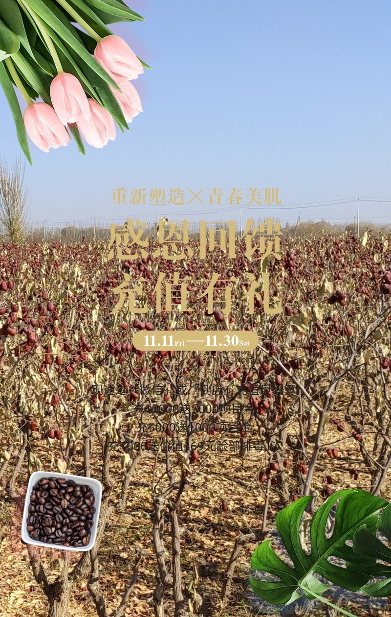 灰枣
