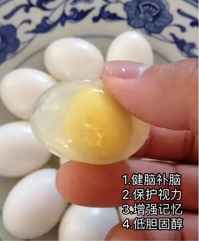 新鲜鸽子蛋