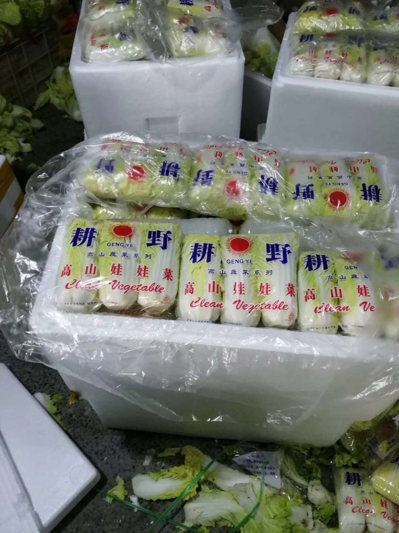 娃娃菜