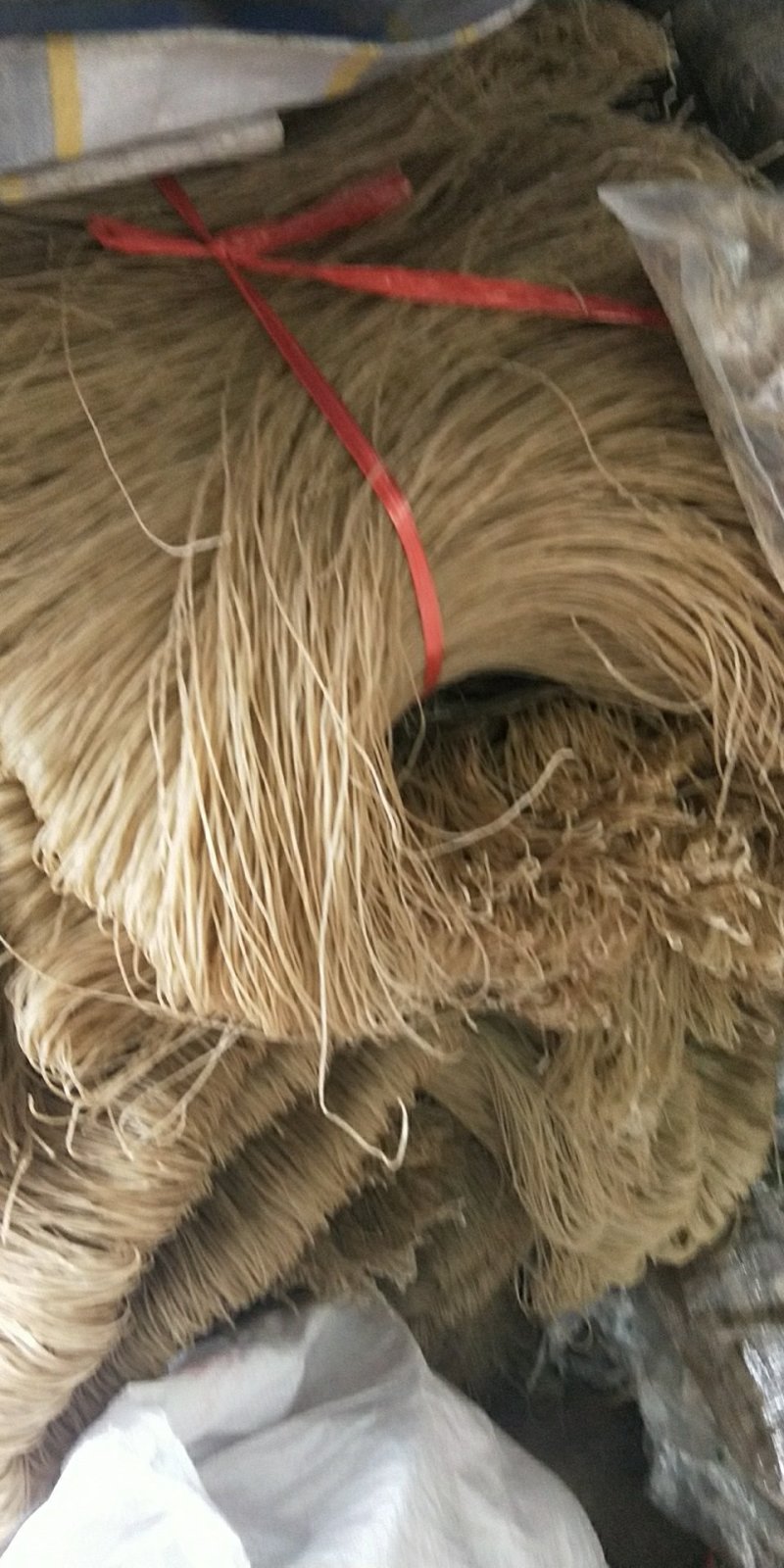 红薯粉条