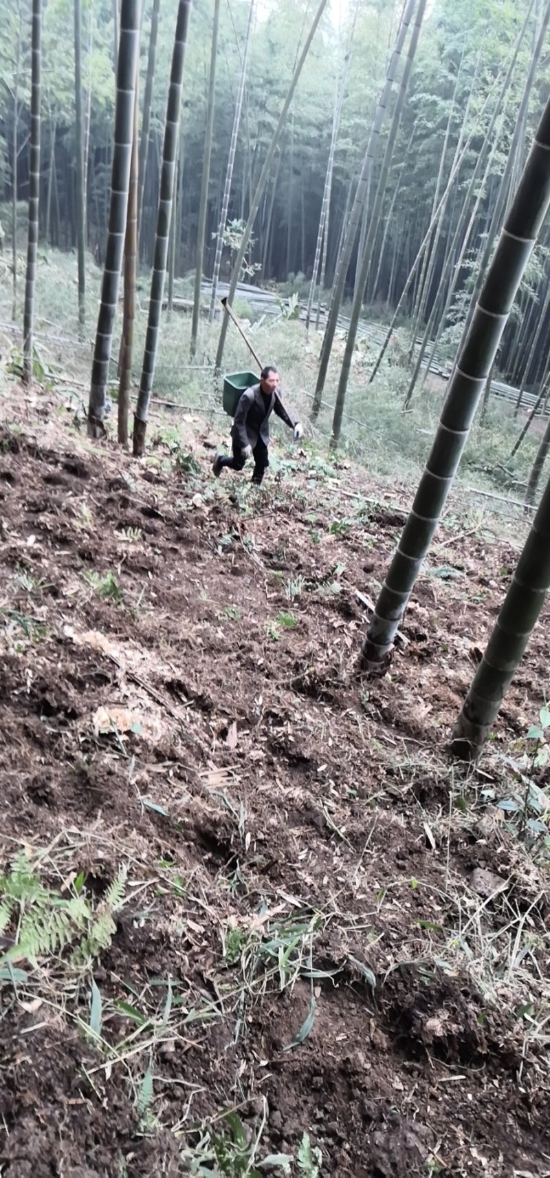 宅基地耕地养值林地