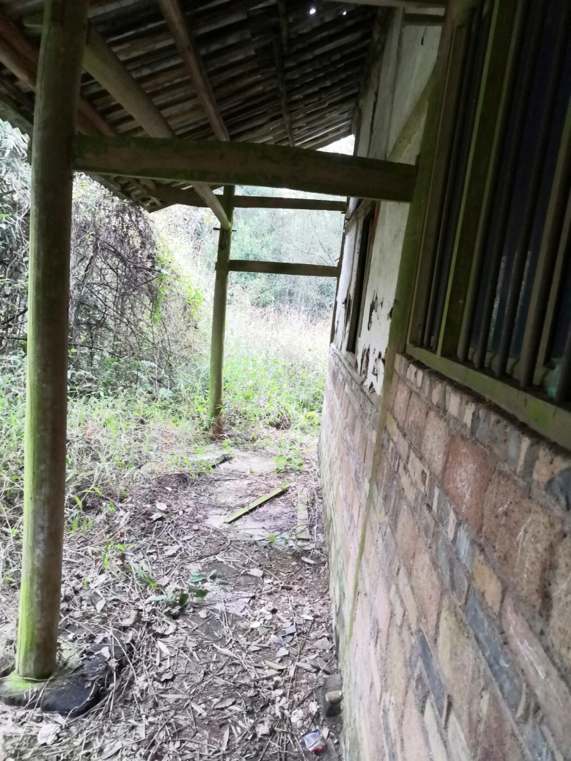 宅基地耕地养值林地