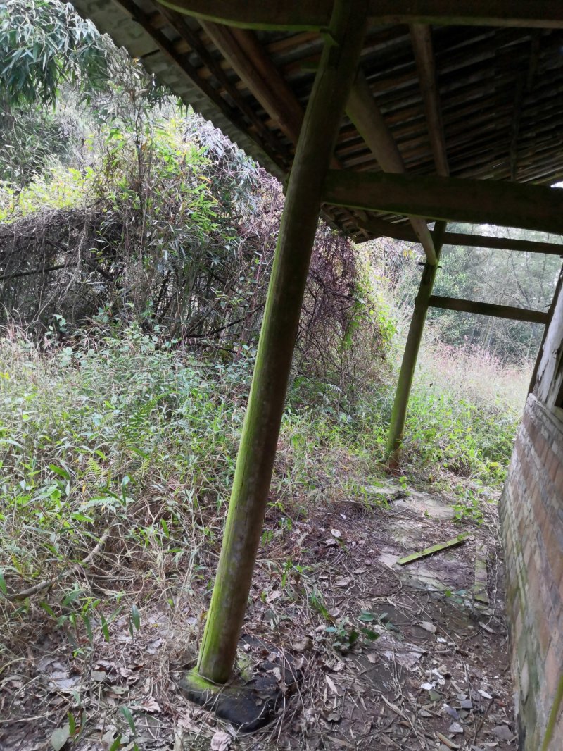 宅基地耕地养值林地