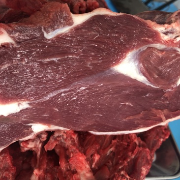 新鲜驴肉驴头驴鞭驴蹄驴肉新鲜现杀驴肉驴心驴肝