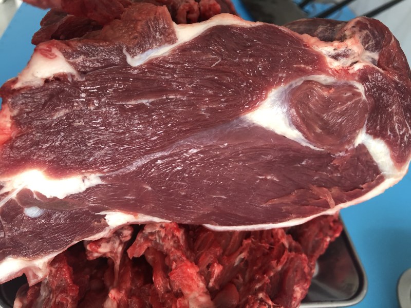 新鲜驴肉驴头驴鞭驴蹄驴肉新鲜现杀驴肉驴心驴肝