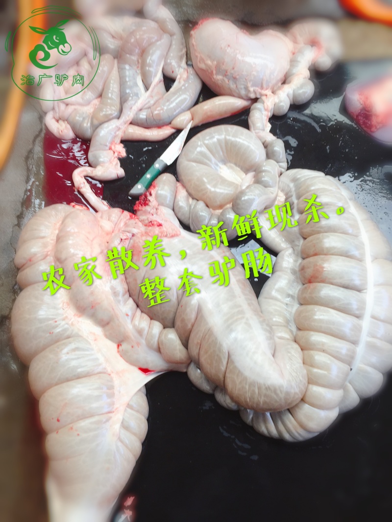 新鲜驴肉驴头驴鞭驴蹄驴肉新鲜现杀驴肉驴心驴肝
