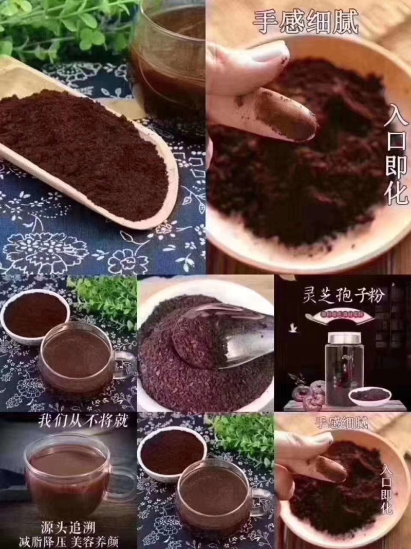 灵芝孢子粉无添加一瓶净重半斤纯粉无添加价格美丽