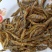 淡水小黄鱼，无盐，无碎末，干度好家庭爆品餐桌必备好吃美味