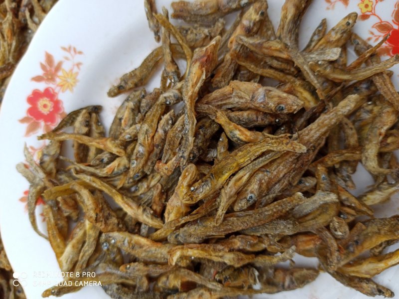 淡水小黄鱼，无盐，无碎末，干度好家庭爆品餐桌必备好吃美味