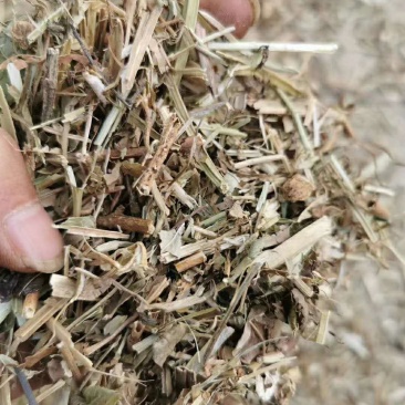 花生秧羊草花生秧牛羊马兔饲草草粉兔草兔羊草牛草