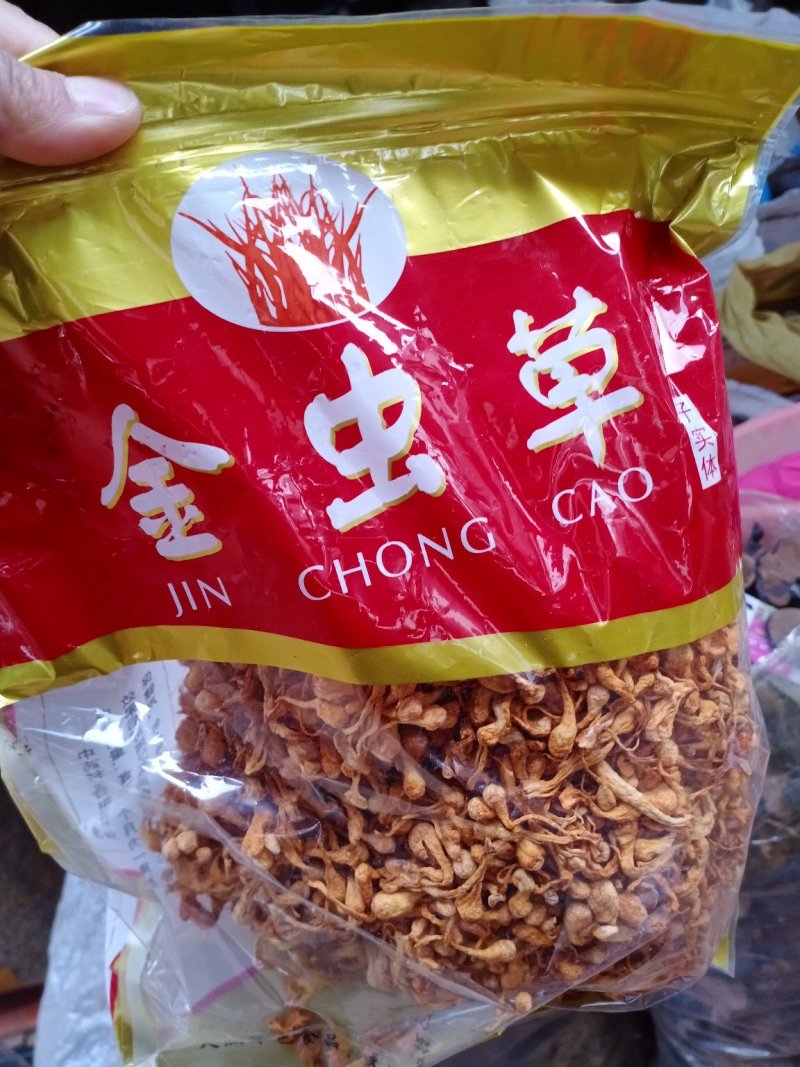 云南文山金虫草精心挑选的好货精包装批发