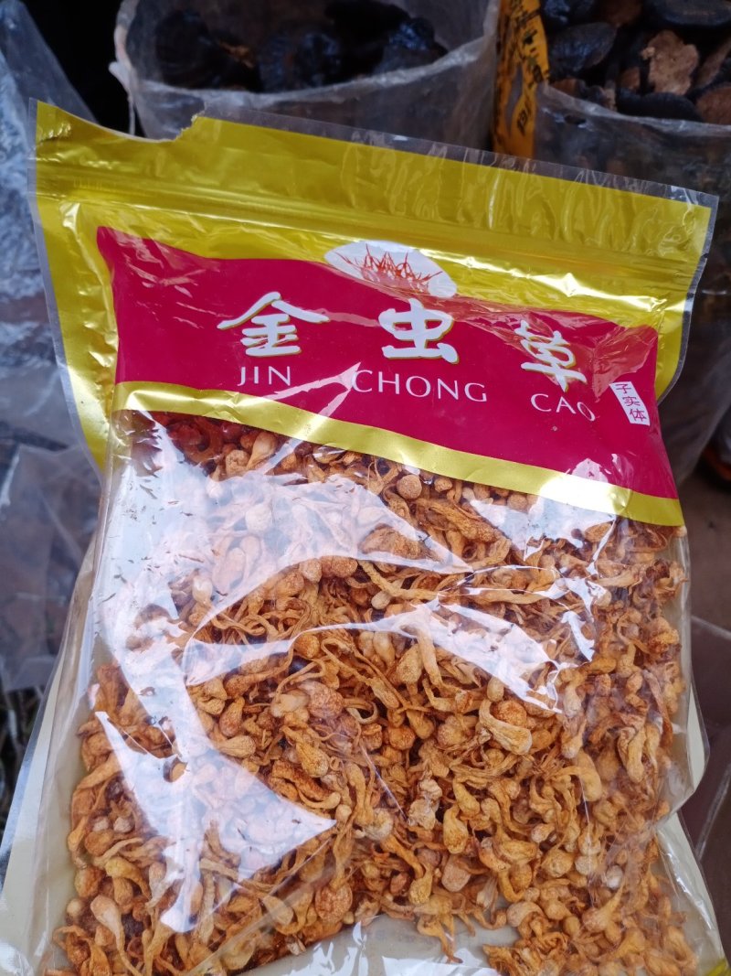 云南文山金虫草精心挑选的好货精包装批发