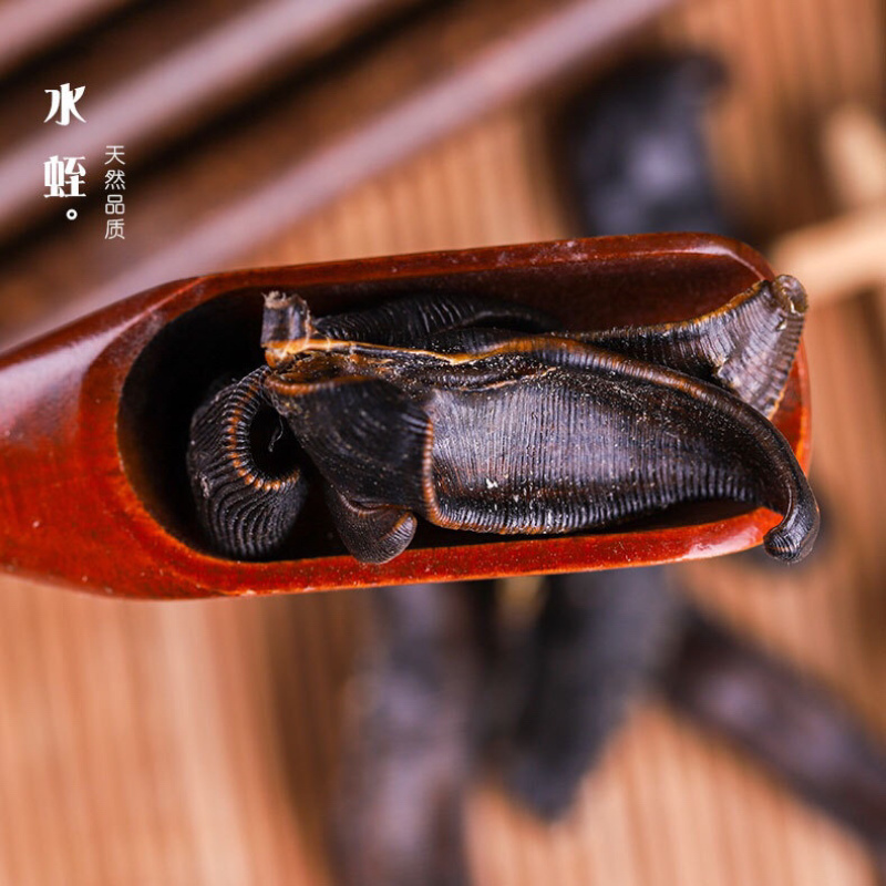 水蛭选装清水吊干散装优质蚂蝗另有飞牛蛭大货批发