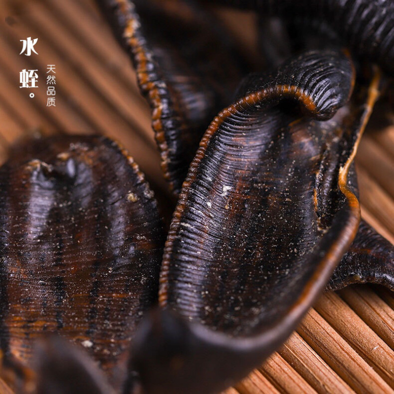水蛭选装清水吊干散装优质蚂蝗另有飞牛蛭大货批发