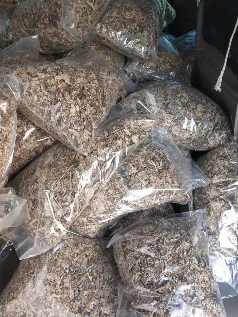 桐柏山野生艾叶，叶片厚，香味足，产地直发，视频看货~