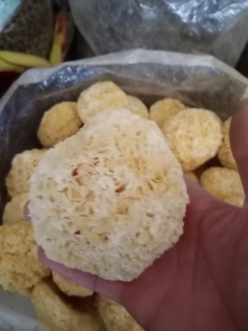 食用菌鲜货银耳物美价廉量大价格你说了算