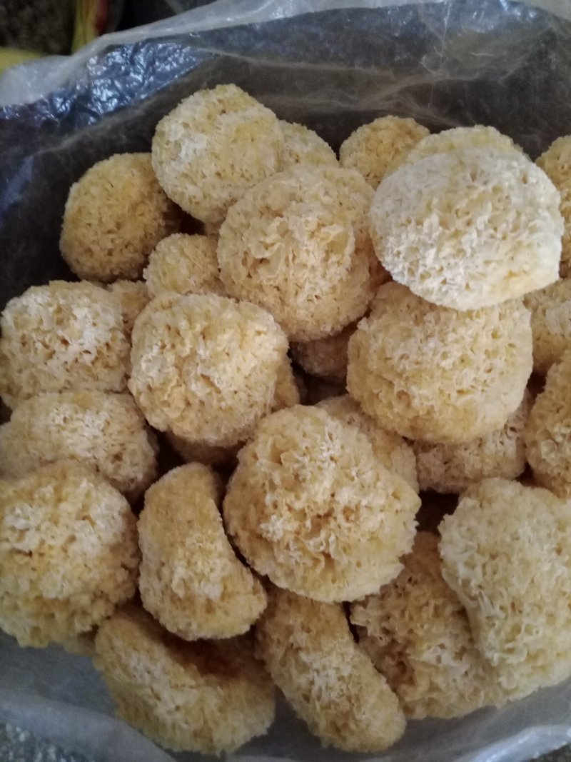 食用菌鲜货银耳物美价廉量大价格你说了算